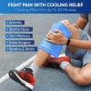 imageAPEXUP Gel Ice Packs for Injuries Reusable Flexible Double Sided Cold Packs for Injuries Ice Pack for Knee Shoulder Back Hip Leg Arm Black S 2PKBlue