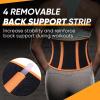 imageAPEXUP Sweat Waist Trainer for Women and Men Neoprene Waist Trimmer Belt Slimming Sweat Band with Removable Lumbar SupportOrange