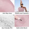 imageAPEXUP Yoga Ball M19quot22quot 55cm  Boxing Gloves 12oz