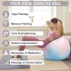 imageAPEXUP Yoga ampamp Pilates Ball  Anti Slip Heavy Duty Gym Ball for Fitness Balance ampamp Core WorkoutBlue Pink