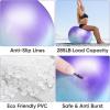 imageAPEXUP Yoga ampamp Pilates Ball  Anti Slip Heavy Duty Gym Ball for Fitness Balance ampamp Core WorkoutBlue Purple