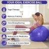 imageAPEXUP Yoga ampamp Pilates Ball  Anti Slip Heavy Duty Gym Ball for Fitness Balance ampamp Core WorkoutIndigo