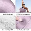 imageAPEXUP Yoga ampamp Pilates Ball  Anti Slip Heavy Duty Gym Ball for Fitness Balance ampamp Core WorkoutMauve