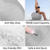 imageAPEXUP Yoga ampamp Pilates Ball  Anti Slip Heavy Duty Gym Ball for Fitness Balance ampamp Core WorkoutSilver