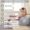 imageAPEXUP Yoga ampamp Pilates Ball  Anti Slip Heavy Duty Gym Ball for Fitness Balance ampamp Core WorkoutSilver